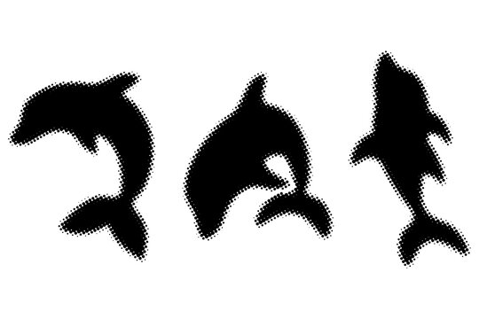 Dotted Halftone Dolphin