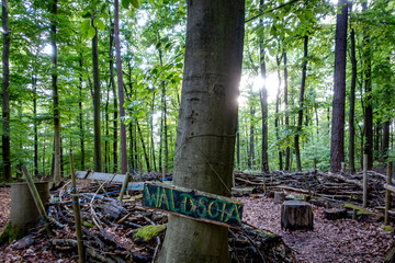Aufbaute in einem Waldkindergarten  © focus finder