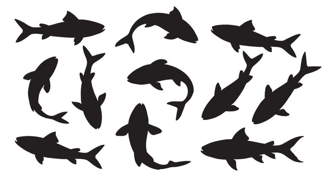 Fish silhouette icons set in black, depicting various ocean species for sea life, marine, and aquatic design use