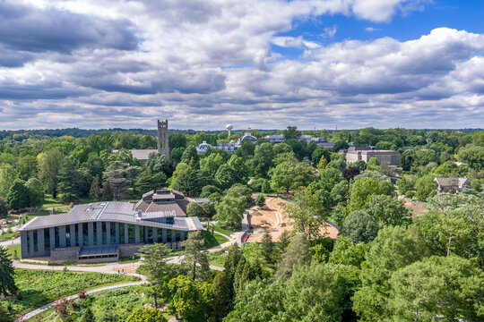 Mccabe Library Mccabe Images – Browse 14 Stock Photos, Vectors, and Video | Adobe Stock