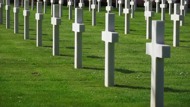 American military cemetery with aligned white crosses on green lawn. Memorial tribute concept