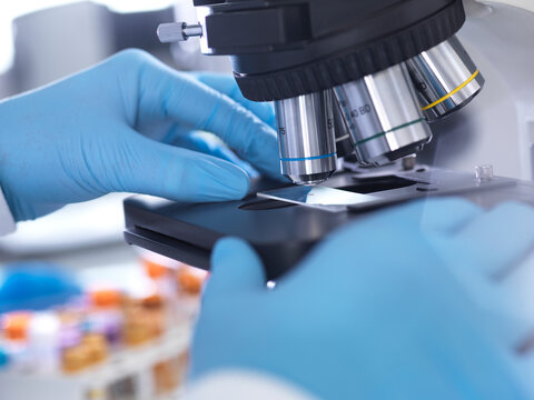 Hands in blue gloves using a microscope for laboratory testing