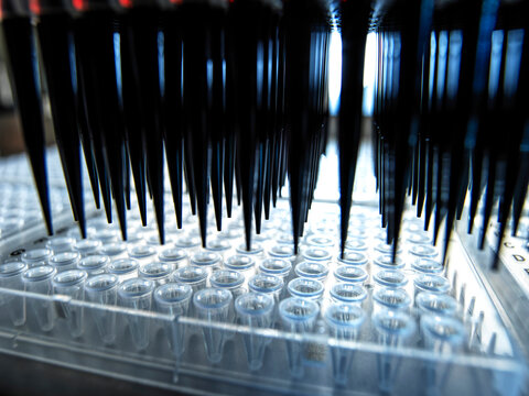 Automated multi-channel pipette in a biomedical research laboratory