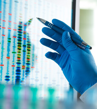 Analyzing a DNA profile on a computer monitor in a laboratory