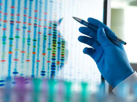 Gloved hand pointing at DNA profile on monitor in laboratory