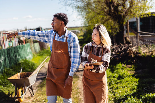 Farmers with clipboard pointing and planning harvest outdoors