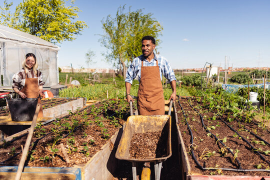 Farmers working with a wheelbarrow in a sunny garden