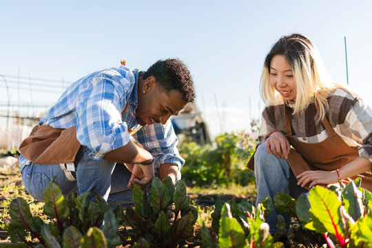 Farmers smiling and crouching while caring for seedlings outdoors