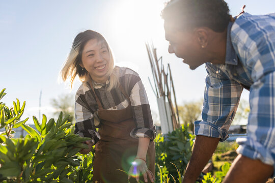 Gardeners smiling and working together on the homestead outdoors