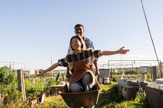 Farmer pushing a laughing gardener in a wheelbarrow on a farmstead