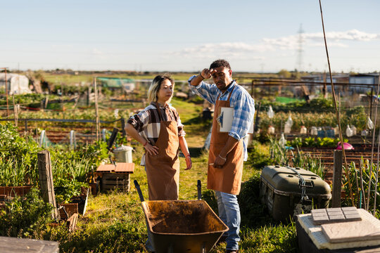 Tired farmers rest by a wheelbarrow in an organic allotment