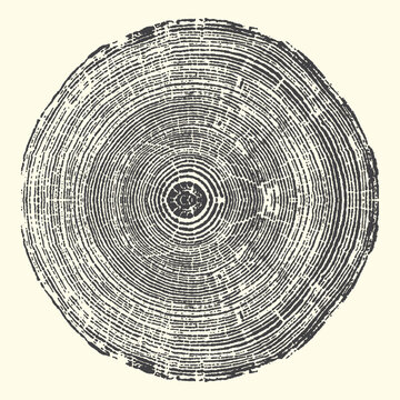 Close-up of tree rings showing circular growth patterns and natural texture with cross section circular patterns woodgrain background abstract monochrome contrast material weathered