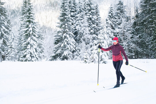 Cross country skiing through the snowy Leutasch Valley in winter