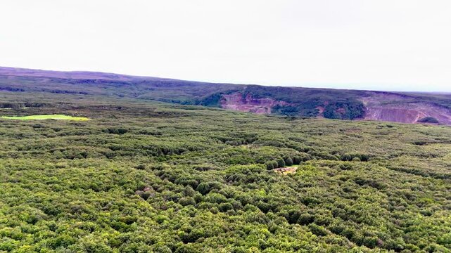 A cinematic high-angle aerial drone shot moving forward over the endless green canopy of a subantarctic Lenga forest within the Reserva Nacional Magallanes near Punta Arenas, Chile