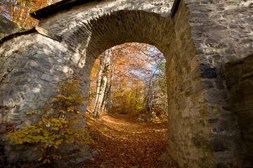 Fototapeta premium Autumn landscape ancient ruins in an autumnal forest