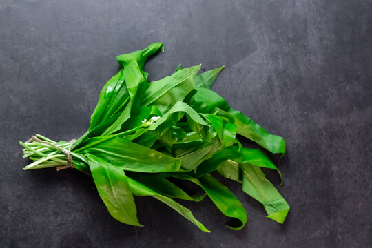 Bunch of fresh raw wild garlic on a dark background