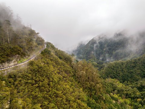 Mist veils a winding road in the lush Laurissilva forest of Madeira