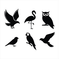 Obraz premium Black silhouettes of various birds on white background