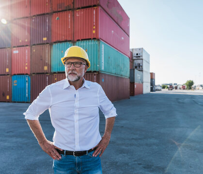 Logistics manager in safety helmet at a shipping container port