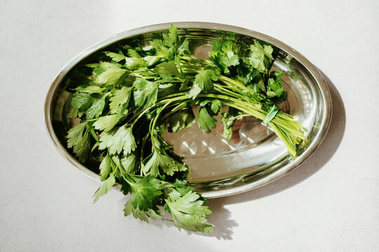 Top view of fresh green parsley on a bright silver plate