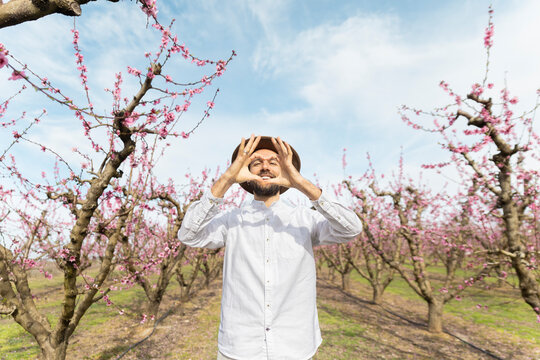 Traveler making heart shape in blooming peach orchard
