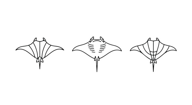 Spider web border with gray halftone dots