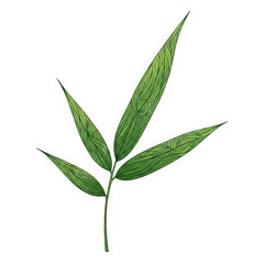 Fototapeta premium Simple green leaf with dotted texture on transparent background