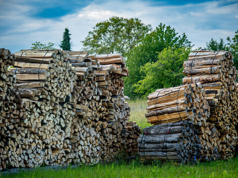 Brennholz lagert im Freien auf einer Wiese