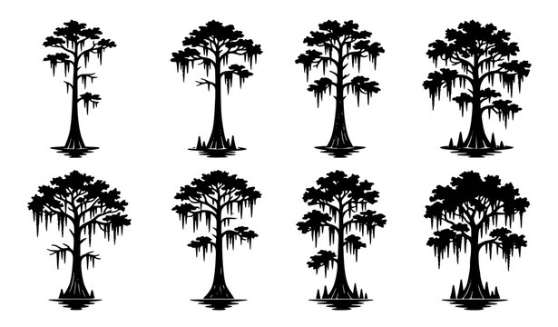 Cypress Tree Silhouette Vector Set with Swamp Forest Wetland Nature Scenes and Reflection Elements on White Background