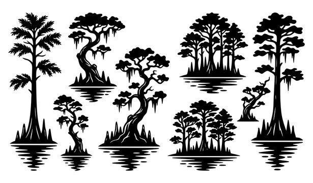 Stylized Cypress Tree Silhouette Vector Pack with Swamp Forest Reflections and Decorative Botanical Nature Elements on White Background