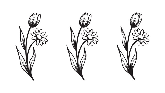 Set of three hand drawn sketch flowers with tulips and daisy buds in a simple black line art style for floral design elements