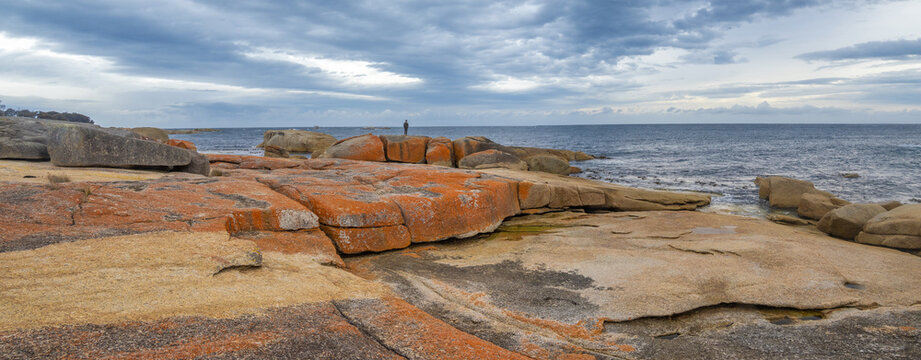 Panoramic view of Bicheno coastline with its iconic orange lichen-covered granite boulders. northeastern Tasmania, Australia
