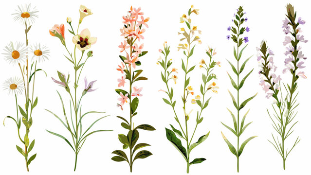 watercolor wildflower collection with various blooms and green foliage on a white background