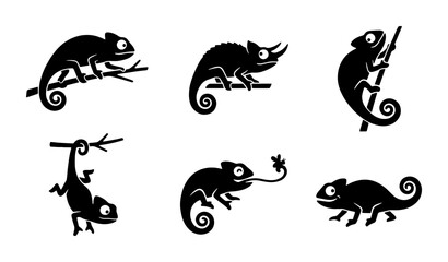 Chameleon Icon Set, Reptile Vector Graphics, Wildlife Silhouette Collection, Animal Art for Nature Themes © Mahfuz