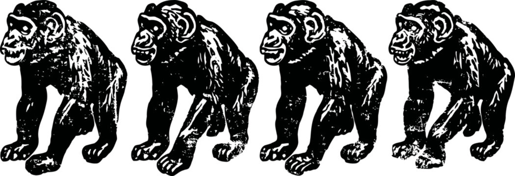 four black chimpanzee silhouettes walking in sequence on white background