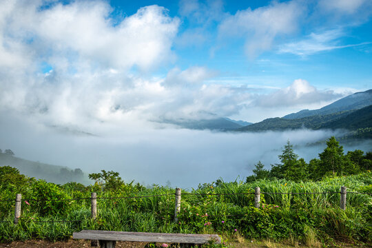 夏の野反湖を覆う雲海と青空が広がる絶景の高原風景（群馬・中之条町）