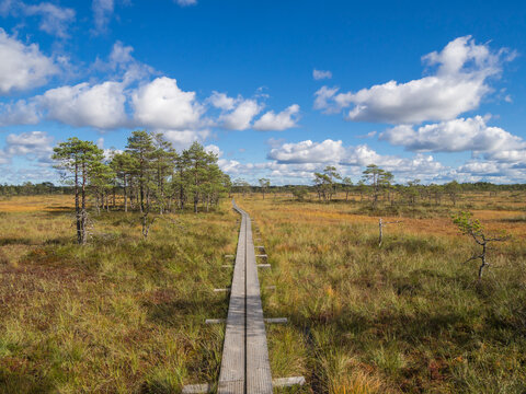 Plank walkway across tranquil moorland in Estonia under a cloudy sky