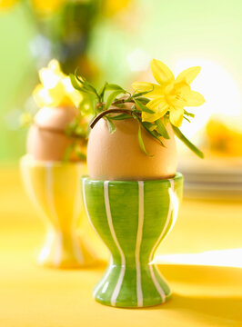 Brown Easter egg in a green striped cup decorated with a daffodil