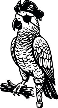 Pirate parrot illustration with eye patch and skull hat