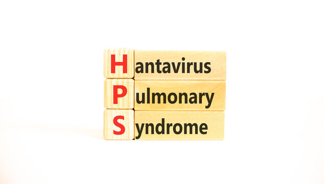 HPS hantavirus pulmonary syndrome symbol. Concept words HPS hantavirus pulmonary syndrome on beautiful wooden blocks. Beautiful white background. Medical HPS Hantavirus concept. Copy space.