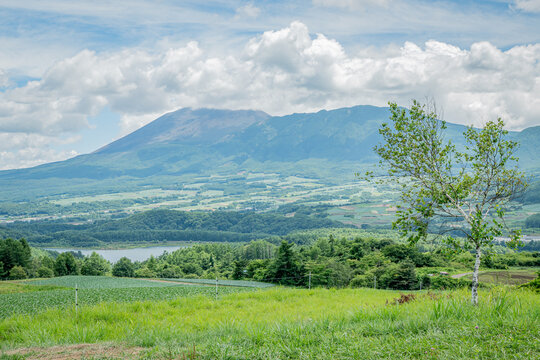 群馬・嬬恋村 愛妻の丘から望む浅間山と夏の高原風景