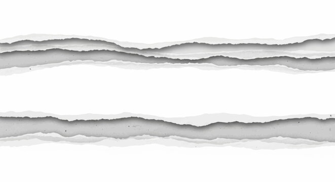 Torn paper edges with white background.