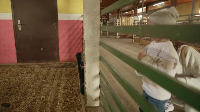 Young goats in a barn pen with straw bedding are being fed from a child's hand. The mother and her daughter are having fun at a petting zoo, interacting with the friendly domestic animals