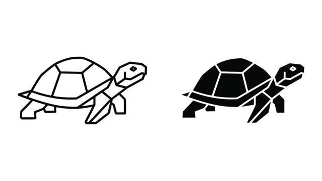 Black and white tortoises walking side by side