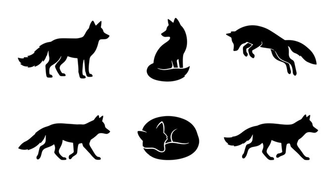 Black Fox Silhouettes Vector Set, Wild Animal Poses Collection, Canine Wildlife Graphics