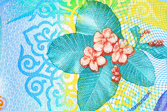 national Simpur flower on the obverse of a Brunei 1 Dollar polymer banknote. Detailed guilloche patterns and microprinting on Asian currency.