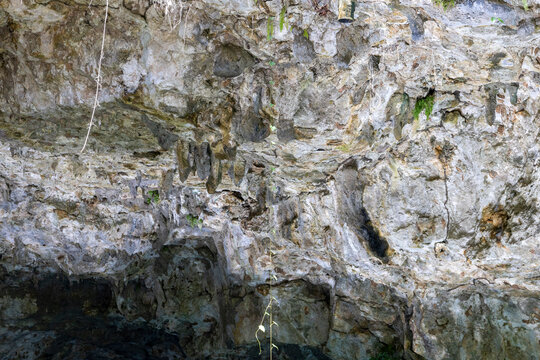 The ceiling of the cave from the Karst lake in Laguna El Dudu park in the dominican republic