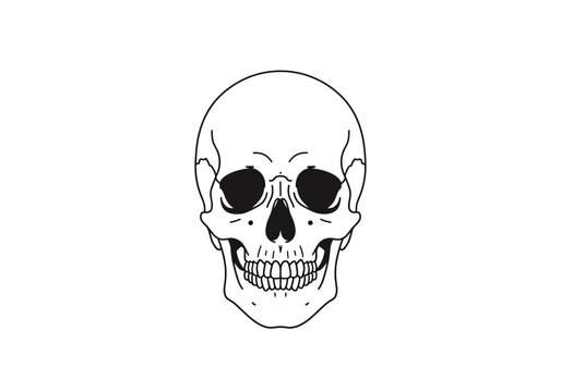 A detailed illustration of a skull with an intense expression is shown.