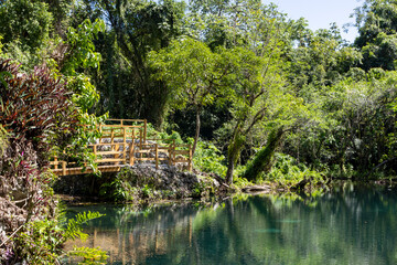 the dudu park with a beautiful untouched nature pond and hiking trail with a wooden railing, dominican republic © A.N.Foto