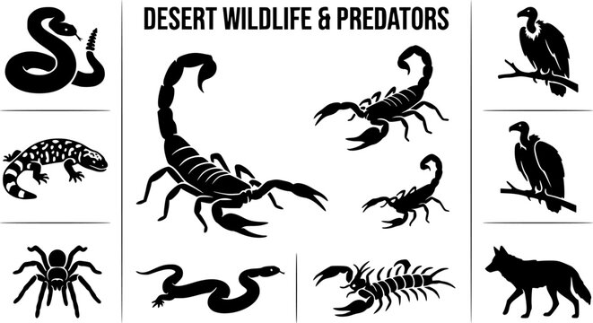 Collection of desert and dangerous animal silhouettes with black and white wild animal scorpions silhouette wildlife arachnid creature illustration collection venomous poisonous predator 